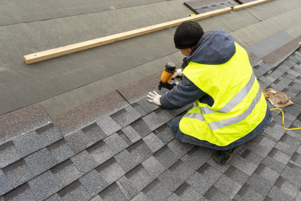 Best Roof Gutter Cleaning  in Bald Kno, AR