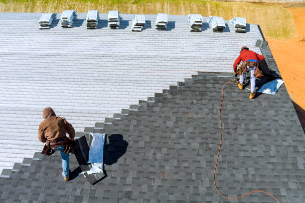Roof Gutter Cleaning in Bald Kno, AR