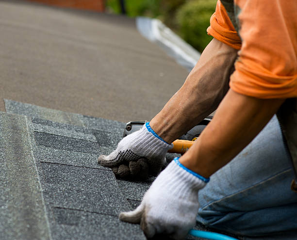 Best Storm Damage Roof Repair  in Bald Kno, AR